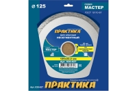Диск алмазный Мастер (125х22.2 мм) ПРАКТИКА 030-627