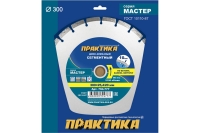 Диск алмазный сегментный Мастер (300x25.4/20 мм) ПРАКТИКА 794-777