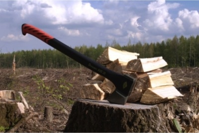 Универсальный топор DDE Dynamic AXE9 225 мм 510 г 649-370