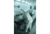 Краскораспылитель Sagola 3300 GTO EPA с дюзой 1.4 мм 10141562