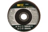Диск наждачный лепестковый для УШМ (125х22,2 мм; Р100) FIT IT 39555