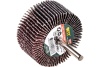 Диск лепестковый радиальный для дрели (60х30 мм; P40) FIT IT 39572