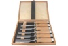 Набор из 6 плоских стамесок Narex Wood Line Profi (светлые) 853055